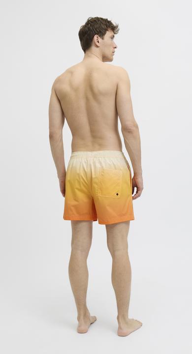 Actual product image Jack & Jones Regular Fit Badeshorts Badeshorts (XL)