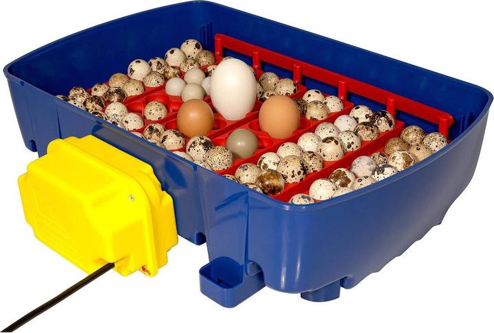 Actual product image Borotto Real 2 automatic incubator