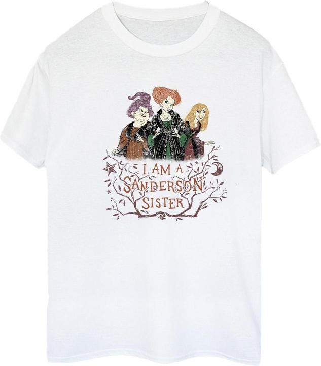 Actual product image Disney Womens/Ladies Hocus Pocus Sanderson Sister Cotton Boyfriend T-Shirt (L)