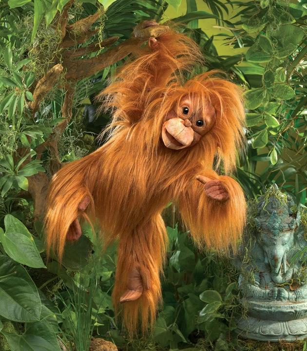 Image du produit Folkmanis Bébé orang-outan