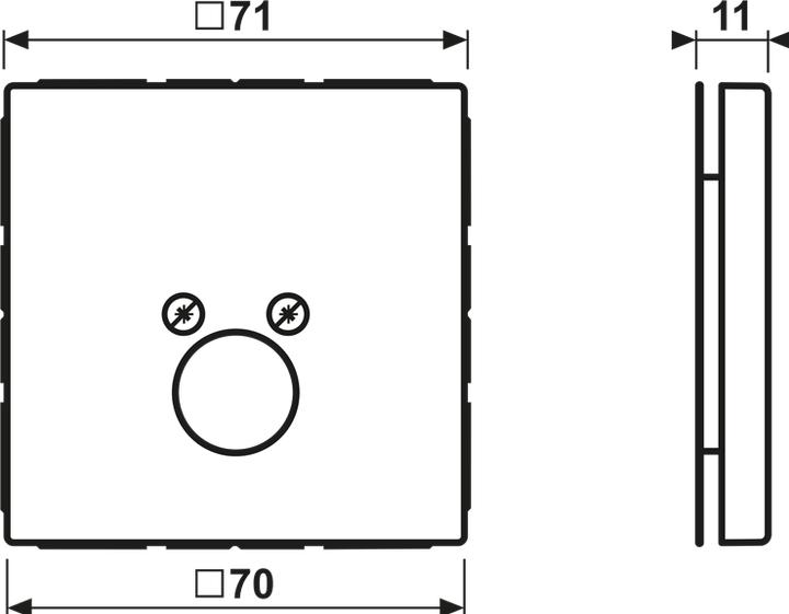 Actual product image JUNG GCR29621