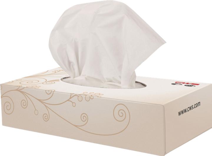 Actual product image CWS Cosmetic tissues tissue box, 2-ply, cellulose, pack of 20