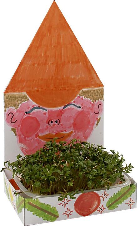 Produktbild Creativ Company 6 Sets, Höhe 20 cm, inkl. Samenbrett
