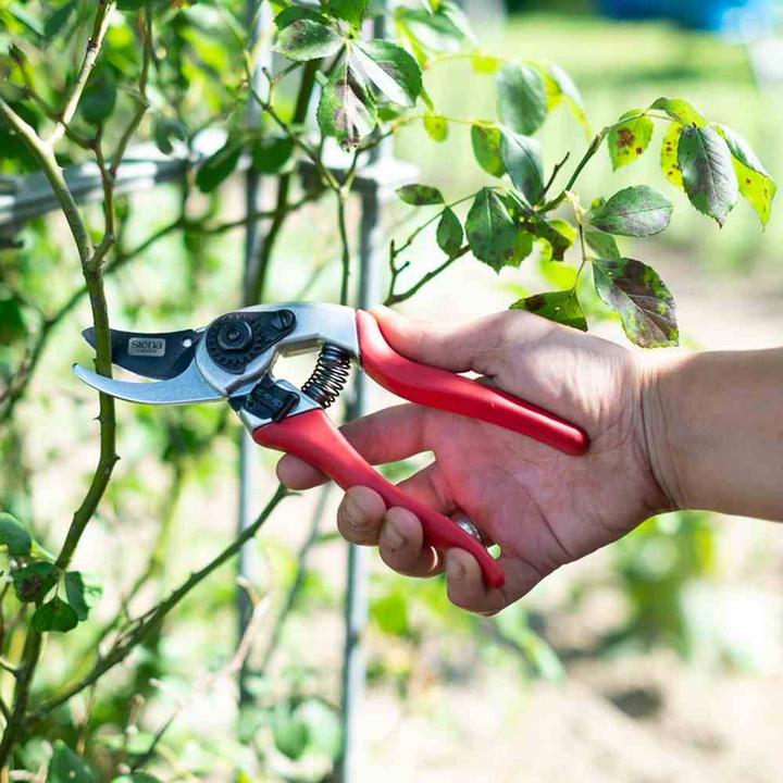 Actual product image Siena Garden pruning shears