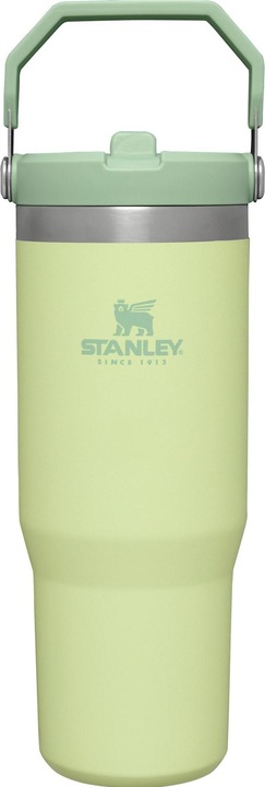Stanley 1913 The Ice Flow (0.89 l)