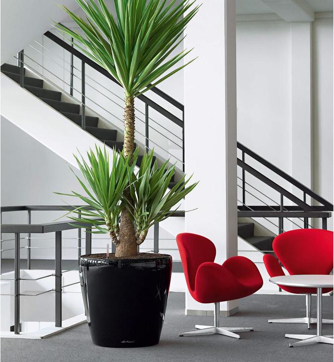 Produktbild Lechuza CLASSICO Premium 60 hochglanz (60 x 55.50 cm)