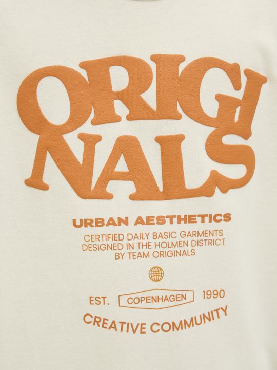 Actual product image Jack & Jones Gedruckt Sweatshirt Junior Sweatshirt (152)