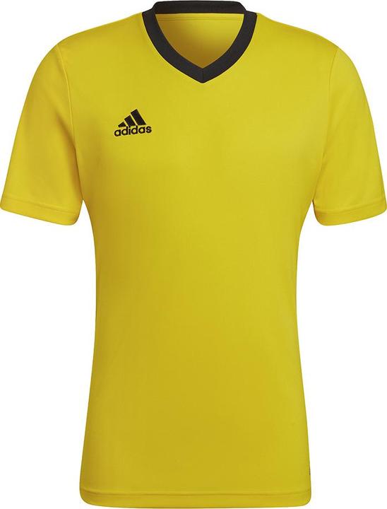 Yellow / Black