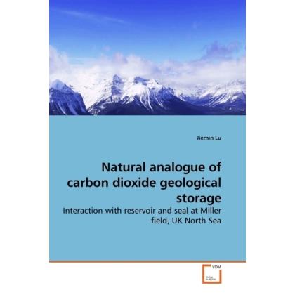 Natural analogue of carbon dioxide geological storage, Fachbücher von Jiemin Lu