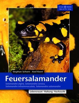 Actual product image Feuersalamander (German, Stefan Schorn, 2011)