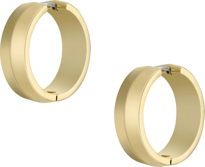 Actual product image Fossil Jewelry Earrings (Stainless steel)