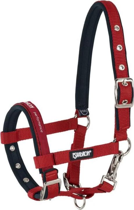 Produktbild Eskadron Halfter für Ponys