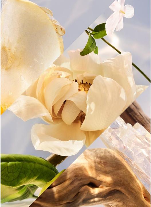 Produktbild Bulgari Omnia Crystalline Moisturizing Milk (Körperlotion, Körpermilch, 200 ml)