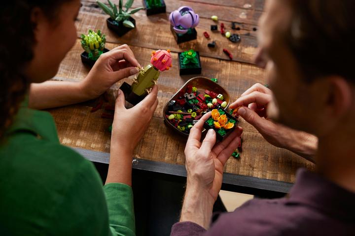 Image du produit LEGO Les succulentes (10309, LEGO Botanical, LEGO difficiles à trouver)