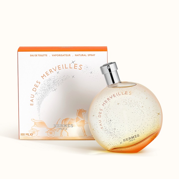 Image du produit Hermès Eau de Merveilles (Eau de toilette, 100 ml)