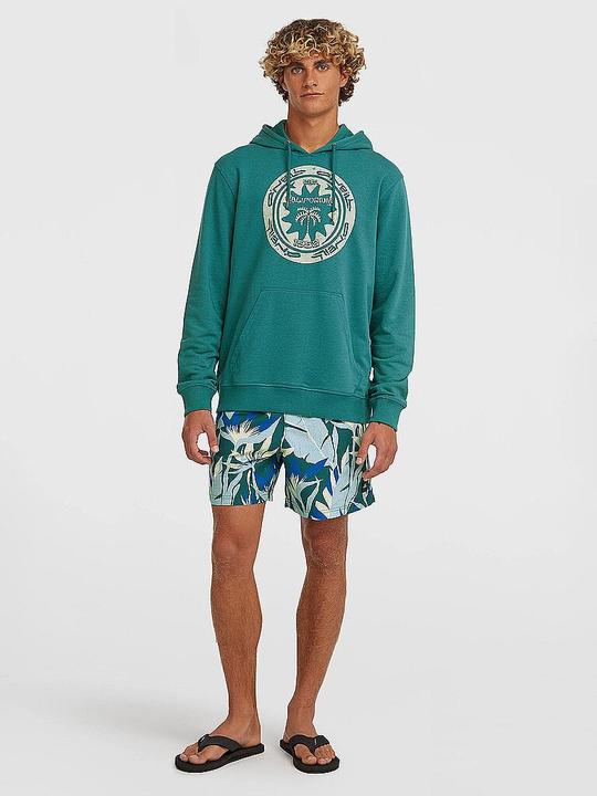 Image du produit O'Neill Beachshorts Print (M)