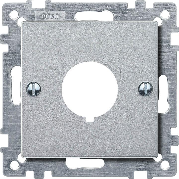 Actual product image Merten Central plate for command devices, 393960