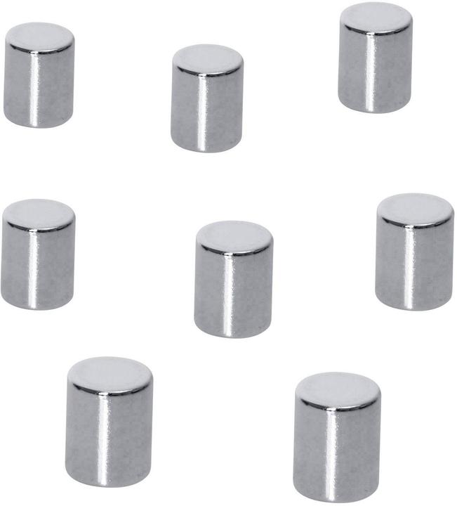 BE! Board Be!Board neodymium magnets, cylinder, Ø 8 x 10 mm, 8 pcs. (8 x)