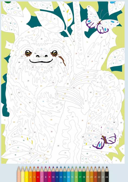 Produktbild Ravensburger Malen nach Zahlen: Animal Dreams