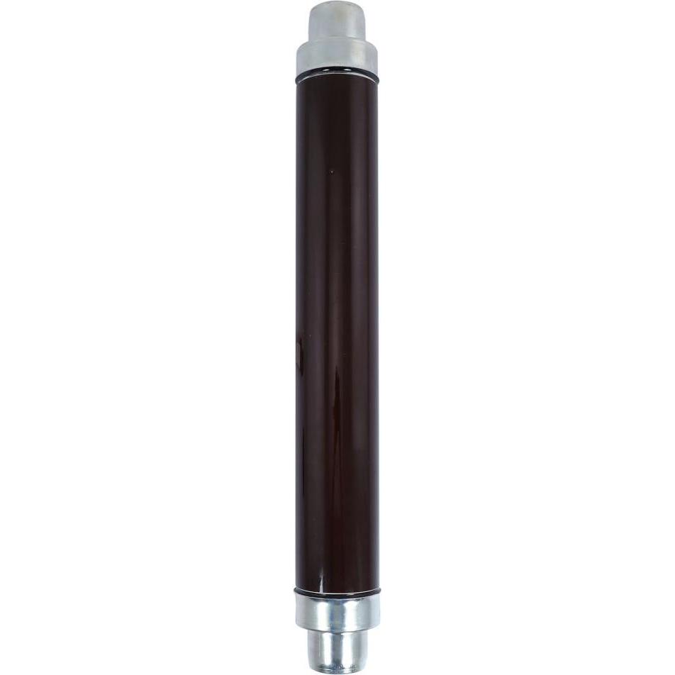 Eaton, Sicherung, Sicherungseinsatz, Mittelspannung, 100 A, AC 12 kV, 63 kA, 2.5z, 64 x 442 mm, Pufferung, DIN, Mit Sc (...