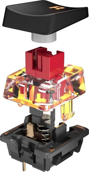 Actual product image Turtle Beach Vulcan TKL (FR, Cable)