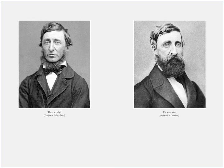 Produktbild Henry David Thoreau (Deutsch, Frank Schäfer, 2017)