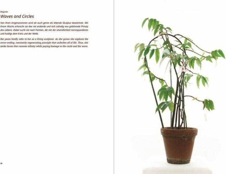 Produktbild Urban Plants (Deutsch, Englisch, 431art, Christian Kaufmann, Christoph W. Aigner, Dana Giesecke, Haike Rausch, Sue Spaid, Torsten Grosch, 2019)