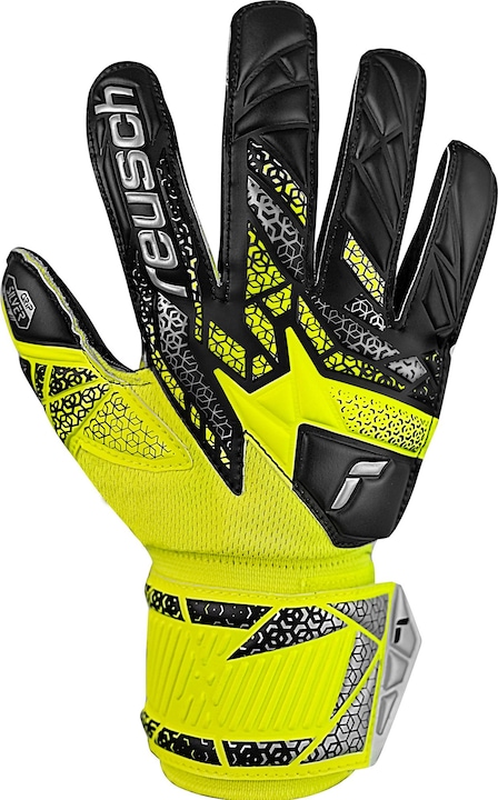 Image du produit Reusch Attrakt Silver (7)