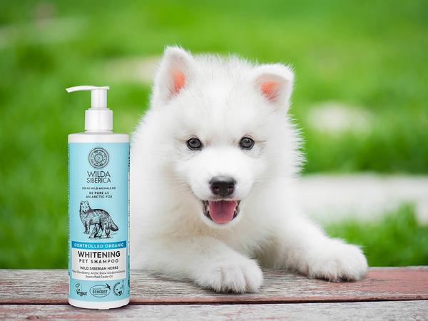 Produktbild Wilda Siberica Shampoo WHITENING, 5 l (5000 ml, Flüssiges Shampoo)