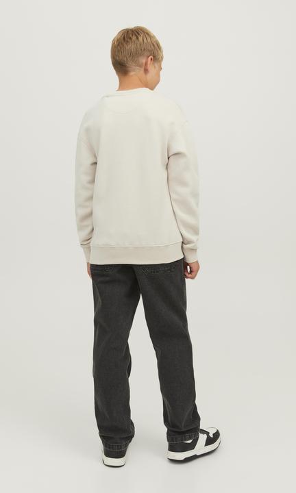 Immagine prodotto Jack & Jones Felpa (140)