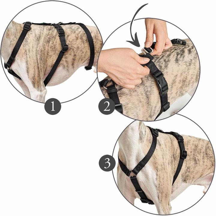 Immagine prodotto Hunter Imbracatura di sicurezza Vario Rapid (M, Cane, Generale, Passeggiare)
