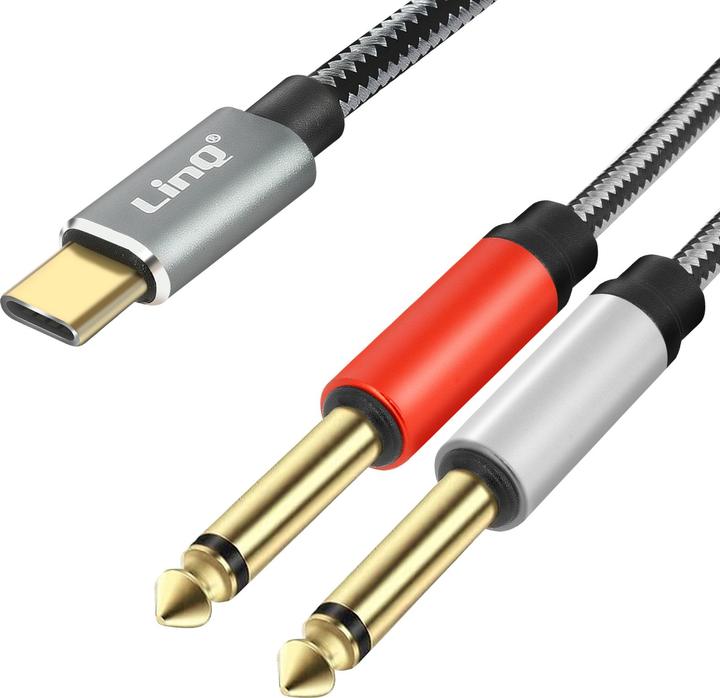 Actual product image LinQ 2in1 (1.50 m, 6.3mm jack, USB)