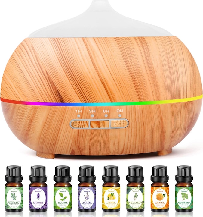 Moisturnt Diffuseur (500 ml)