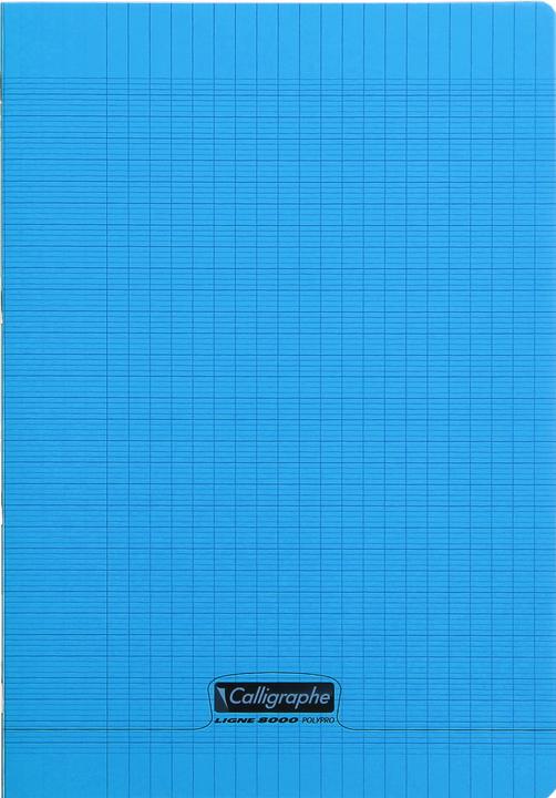 Immagine prodotto Calligaphe Lega 8000 POLYPRO (A4)