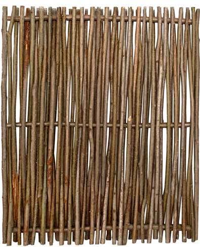 Produktbild Larus Rügen (120 cm)