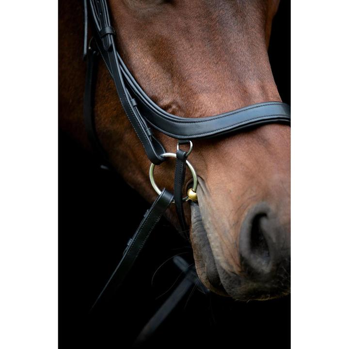 Image du produit Horse Guard Vinja