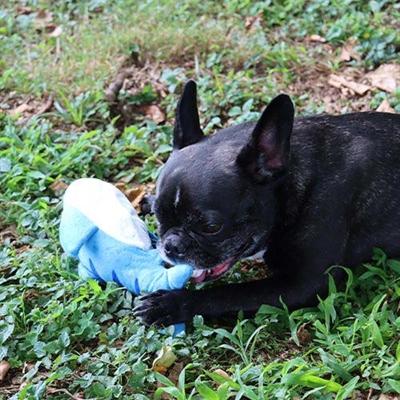 Produktbild Croci Spa Dancing Fish moving fish for dogs 27x7cm (Kauspielzeug Hund)