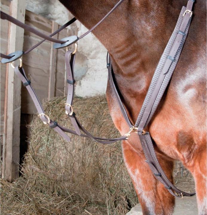 Image du produit TdeT Collier de chasse pour cheval