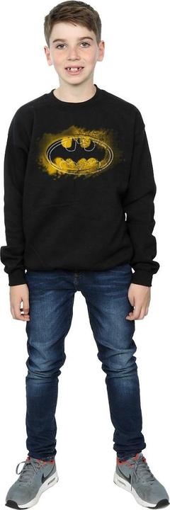 Produktbild Batman Spray Logo Sweatshirt Jungen (116)