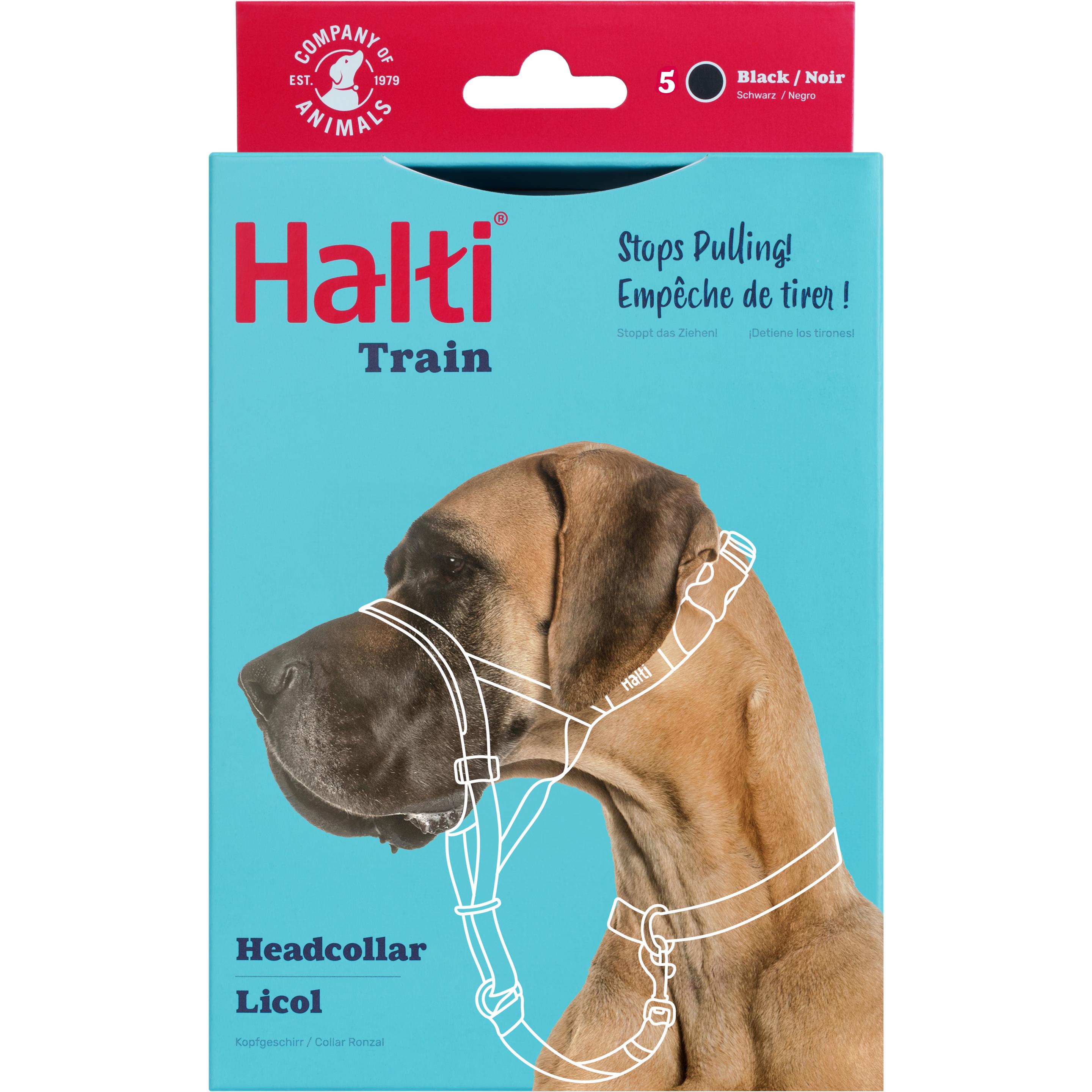 Comparer les prix de Company of Animals Halti Black Kopfgeschirr 5 (Chien, Général), Collier + laisse