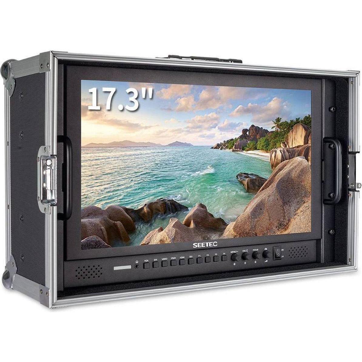 Feelworld SEETEC 17,3" 1920Ã1080 Pro Broadcast LCD Monitor con 3G SDI HDMI AV (valigia) (17.30", Full HD), Monitor video, Nero