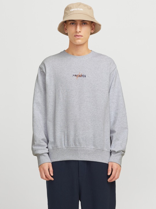 Immagine prodotto Jack & Jones Jjecharge Graphic Sweat O-N Styd Aw24 Ln (L)