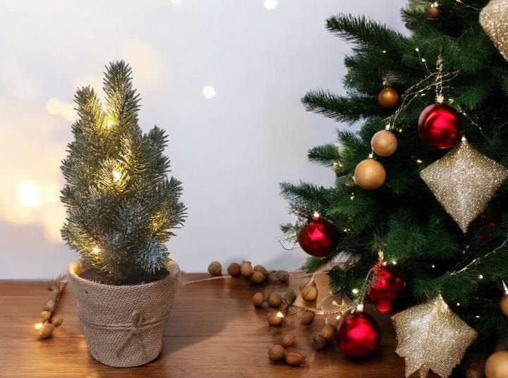 Produktbild GuGus Tannenbaum