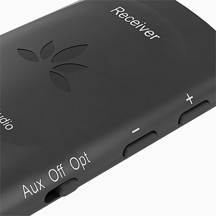 Actual product image Avantree WSTR-2403-RX Receiver (Receiver)