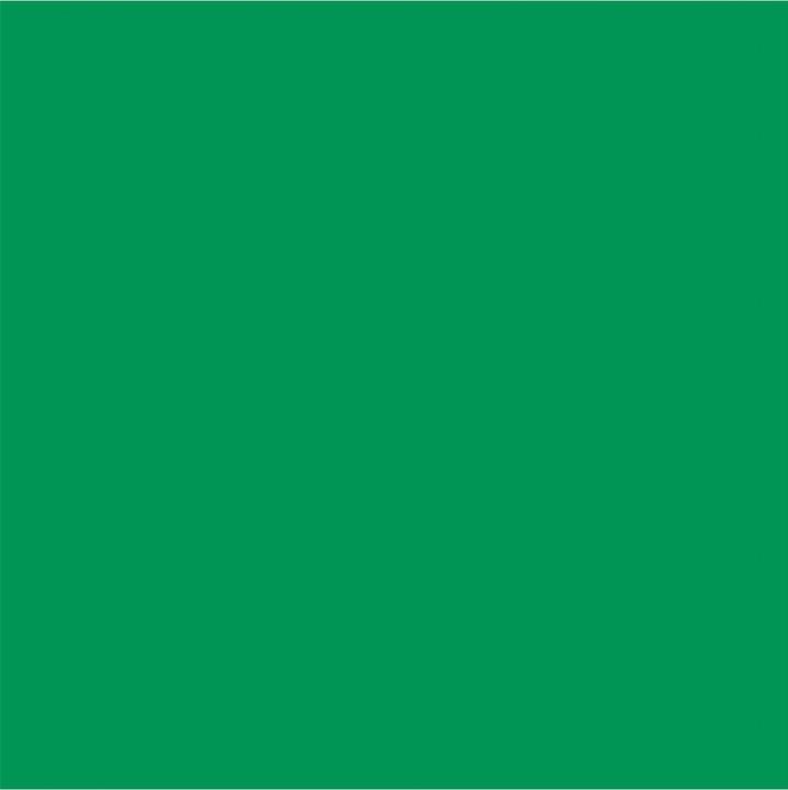 Produktbild Cricut Vinylfolie Smart ablösbar 33 x 366 cm, 1 Stück, Grün (1 x)