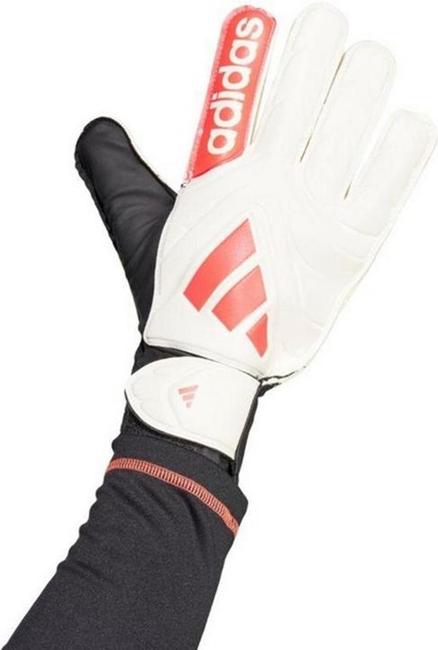 Produktbild Adidas Copa Club TorhüterHandschuhe (9.5)