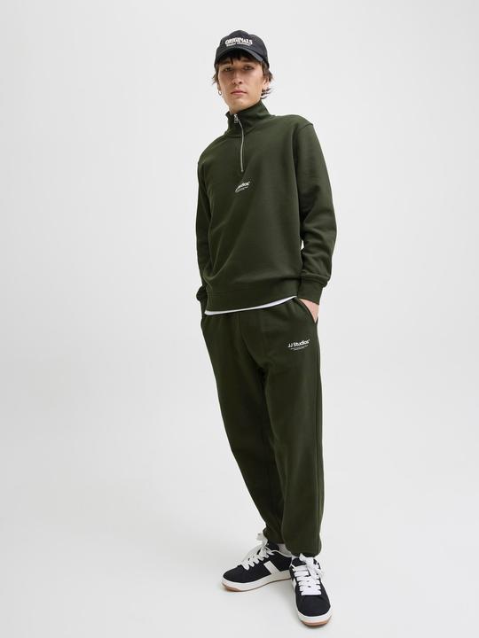 Actual product image Jack & Jones Regular Fit Relaxed Fit Hosen Relaxed Fit Hosen (XXL)