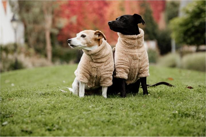 Produktbild Kentucky Dogwear Hunde Pullover Teddy Fleece (XL, Hundepullover)
