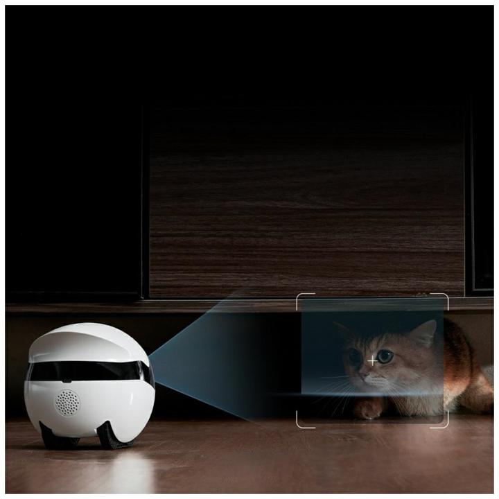 Immagine prodotto NoName EBO Air2 Plus Companion Robot - White