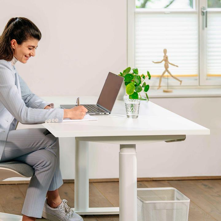 Actual product image ofinto Rise